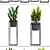 Exotic Plant Collection: Curculigo, Sansevieria, Zamioculcas 3D model small image 2