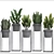 Exotic Plant Collection: Curculigo, Sansevieria, Zamioculcas 3D model small image 3