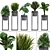 Exotic Plant Collection: Monstera, Cycas, Rhapis, Alocasia 3D model small image 1