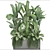 Tropical Plant Collection: Bananas, Monstera & More 3D model small image 3