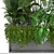 Exquisite Exotic Plant Collection 3D model small image 2