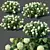 Versatile Hydrangea Annabelle: Perfect for Any View 3D model small image 1