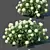 Versatile Hydrangea Annabelle: Perfect for Any View 3D model small image 2