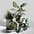 Lush Greenery Trio 3D model small image 1