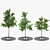 Urban Oasis: Realistic Street Tree 3D model small image 1