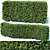 Premium Modular Hedge: Taxus Baccata 3D model small image 1