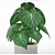 Anthurium clarinervium: Exquisite 2014 V-Ray 3D Model 3D model small image 2