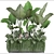 Tropical Plant Collection: Exotic Flora at Your Fingertips 3D model small image 3