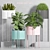 Green Oasis Set - Decorative Planters 3D model small image 1