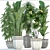 Exotic Plant Collection: Tropical Foliage, Frangipani, Ficus, and More 3D model small image 3