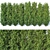 160 cm Taxus Baccata Hedge: Versatile, Accurate, Beautiful 3D model small image 1