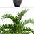 Exotic Areca Palm Seeds 3D model small image 2