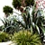 Oceania Plant Trio: Cabbage Tree, Flax & Iris 3D model small image 2