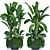 Exotic Plant Collection 252 3D model small image 1