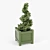 Lush Buxus Green Pot 3D model small image 2