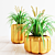 Stunning Houseplant Collection 3D model small image 1