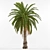 Phoenix Canariensis: Majestic Subtropical Palm 3D model small image 1