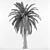 Phoenix Canariensis: Majestic Subtropical Palm 3D model small image 2