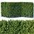 Premium Taxus Baccata Hedge 3D model small image 1