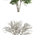 Ginnala Tapeworm Maple: Beautiful Landscape Tree 3D model small image 2