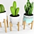 Desert Oasis: Cactus & Sansevieria 3D model small image 2