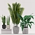 Tropical Trio: Paradise, Sansevieria & Palm 3D model small image 2