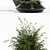 Westelm Modern Planters: Stylish Greenery for Your Home 3D model small image 2