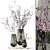 Echasse Vases with Cherry Blossoms 3D model small image 1