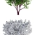 Cherry Maack Tree | Prunus Maackii 3D model small image 2