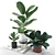 Benghalensis Ficus: Exquisite Potted Plant 3D model small image 1