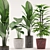 107: Colocasia Esculent, Palm, Banana Plant with Pot 3D model small image 1