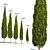 Mediterranean Cypress - Various Heights 3D model small image 1