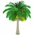 Elegant Finik Palm for a Natural Oasis 3D model small image 1