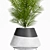 Stylish Plant Set: Decorate with Greenery 3D model small image 2