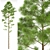 Pine Forest Greenery Accent 3D model small image 1