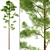 Evergreen Pine Tree Polys 3D model small image 1