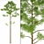 Polys Pinus_Sylvestris C: Transform Your Landscape 3D model small image 1