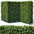 Versatile Taxus Baccata Hedge 3D model small image 1