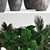 Exotic Plant Collection: Palms, Ficus, Hovea 3D model small image 2