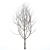  Winter Wonderland Tree 3D model small image 1