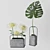 Chic Cement Flower Vases 3D model small image 1