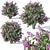 Lilac Bush Collection: 3 Sizes 3D model small image 1