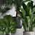 Exotic Plant Collection: Ficus, Palms, and More 3D model small image 2