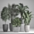 Exotic Plant Collection: Ficus, Palms, and More 3D model small image 3