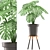 Black Monstera Plant with Stand - Plants 118 3D model small image 1