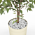 Luxury Ficus Plant: Elegant Greenery 3D model small image 2