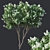 Luscious Lilac Tree - 390cm 3D model small image 1