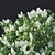Luscious Lilac Tree - 390cm 3D model small image 2