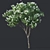 Luscious Lilac Tree - 390cm 3D model small image 3