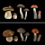 Mushroom Collection: 4 Varieties 3D model small image 1